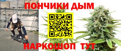 гидра Заводоуковск